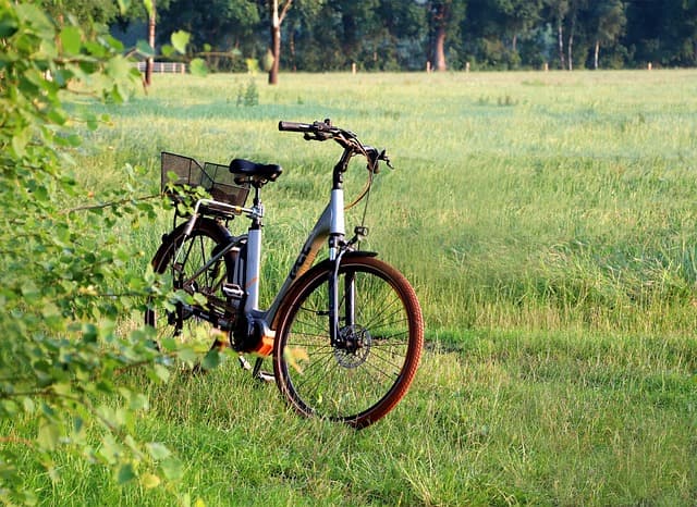 Electric Bike 